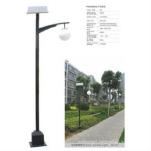 Solar Driveway Light with 6W LED